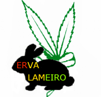 /album/galeria-de-fotos1/erva-zika1-png1/